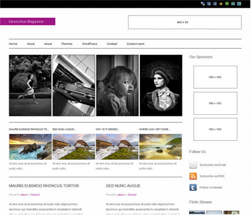 Free WordPress 3x Theme