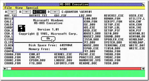 MS-DOS Executive in Windows 1.0 MS-DOS Executive in Windows 1.0