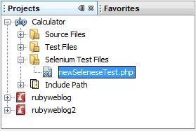 显示新 Selenium 测试的“项目”窗口
