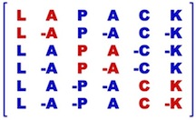 LAPACK 线性数学库-卡核
