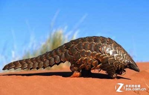 我们一起追过的Ubuntu