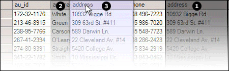 dragdrop_datagrid-fig5
