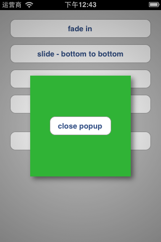 Popup View Controller