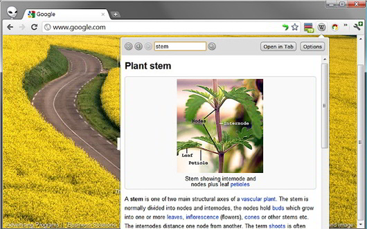 LookUpCompanionforWikipedia