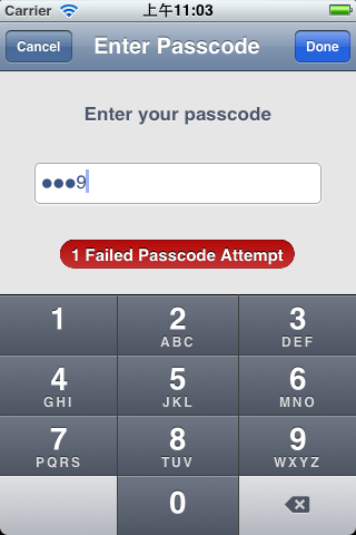 ios Passcode