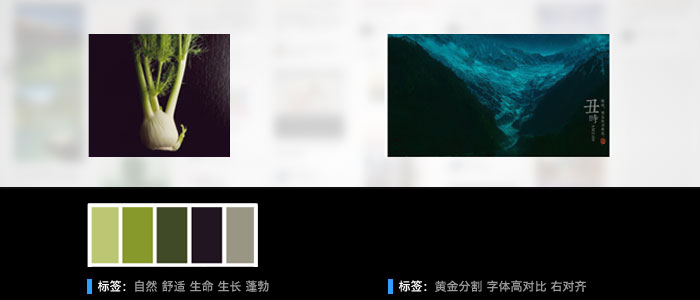设计师的知识管理