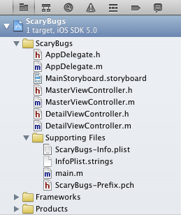 The project navigator in Xcode