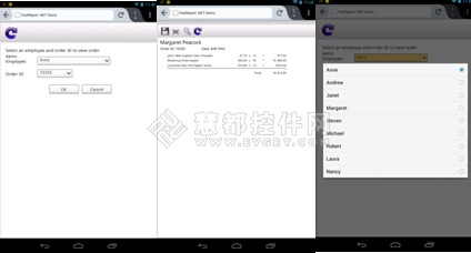 FastReport .Net在移动设备上的兼容性