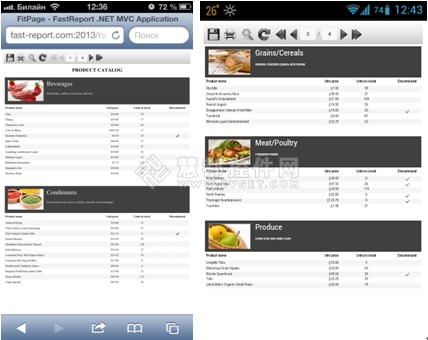 FastReport .Net在移动设备上的兼容性