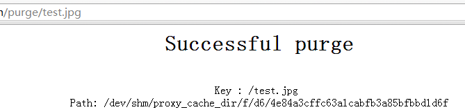 fcache-2