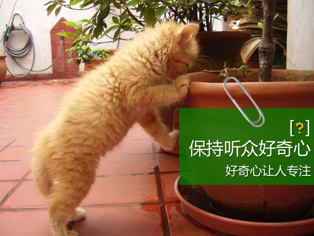 26012824_ZUpQ.jpg