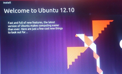 ubuntu12.10安装