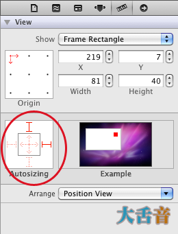Autosizing attributes for the image view