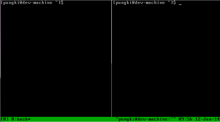 Tmux horizontally split