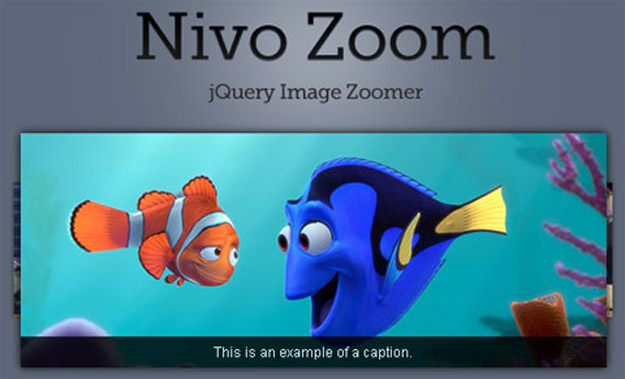 nivozoom