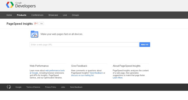 PageSpeed Insights