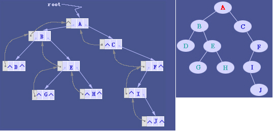 基于三叉链表的二叉树的逻辑结构