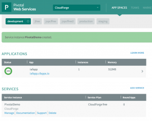Space 300x239 How to Get Started with CloudForge Development Platform in Pivotal CloudFoundry PaaS