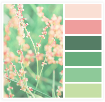 从摄影作品中获取网页颜色搭配技巧