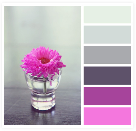 从摄影作品中获取网页颜色搭配技巧