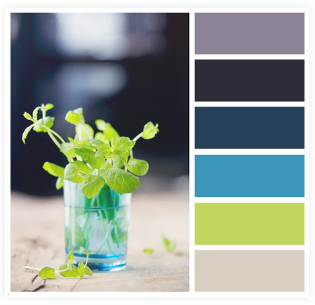 从摄影作品中获取网页颜色搭配技巧