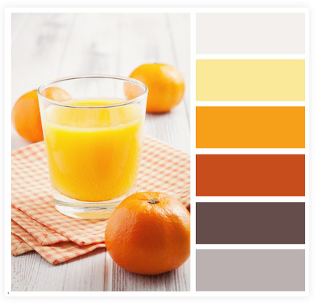 从摄影作品中获取网页颜色搭配技巧