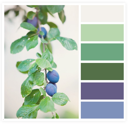 从摄影作品中获取网页颜色搭配技巧