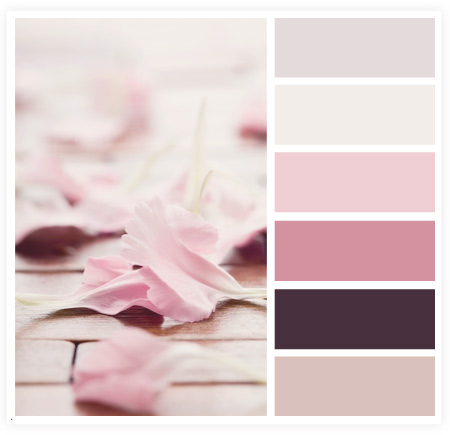 从摄影作品中获取网页颜色搭配技巧