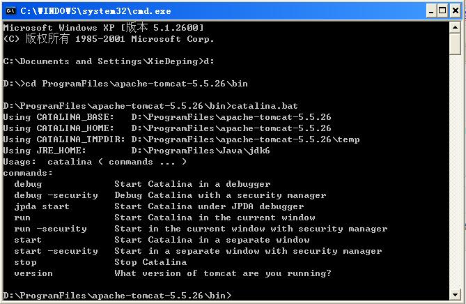 直接执行catalina.bat时的输出