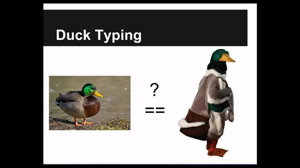 duck typing