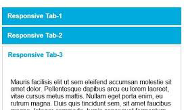 easy responsive tab