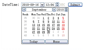 图 3. Date 和 Time 输入框图示