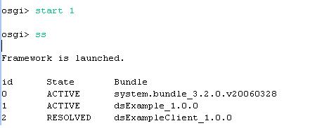 图示10:启动dsExample Bundle