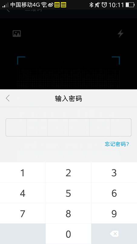 Magento 2.0 - Alipay Cross-border Website Payment - Alipay Mobile APP - Type Password