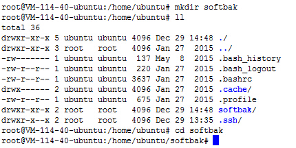 DoraCMS安装教程(linux) 