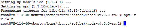 DoraCMS安装教程(linux) 