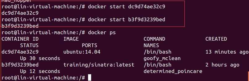 Docker镜像与容器命令  