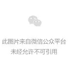 16151753_qCpL.jpg