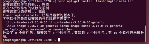 ubuntu如何安装 adobe flash player或adobe插件