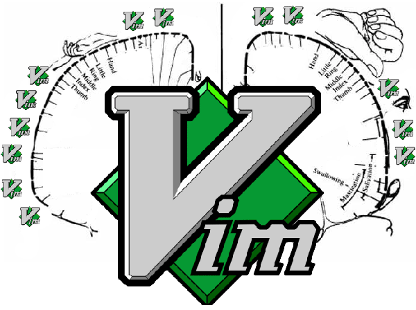 不敢想象！Vim使用者的“大脑”竟是这样不敢想象！Vim使用者的“大脑”竟是这样