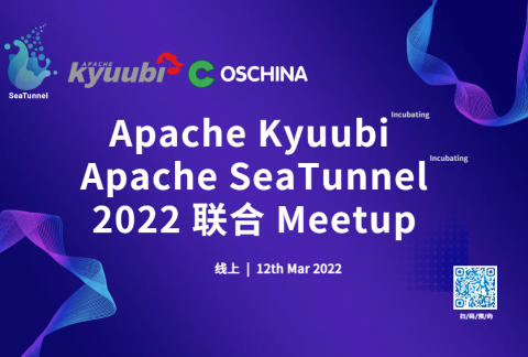 Apache SeaTunnel & Kyuubi 联合 Meetup