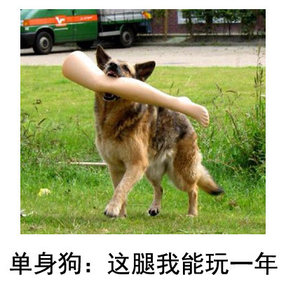 oschina 周一乱弹 —— 外国人的笑点你不懂