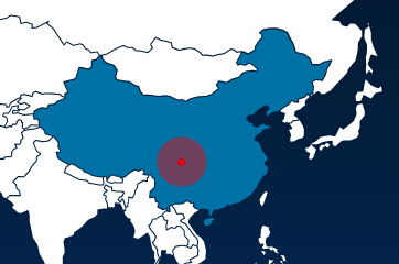 输入图片说明