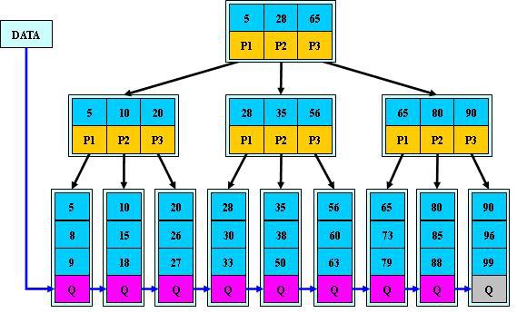B+TREE