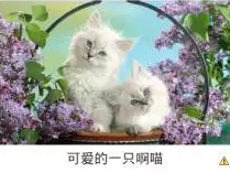 在这里输入图片标题 输入图片说明