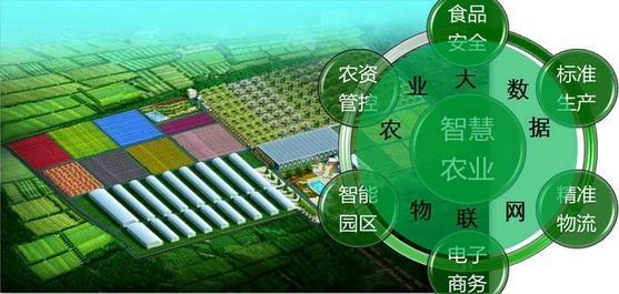 农业电子商务发展“互联网+”,“智慧农业”需先行 电子商务网站建设“互联网+”与“智慧农业”