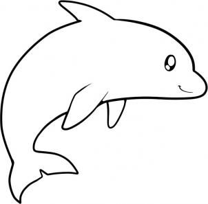 简笔画~海豚7