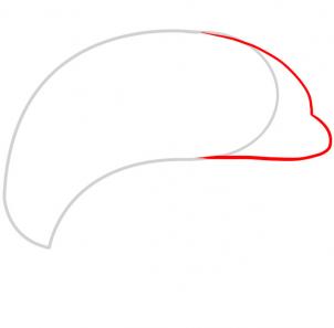 简笔画,海豚2