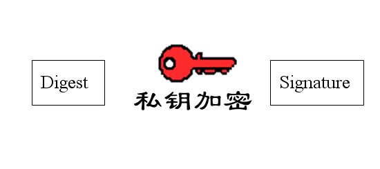 03091921_2CiX.png