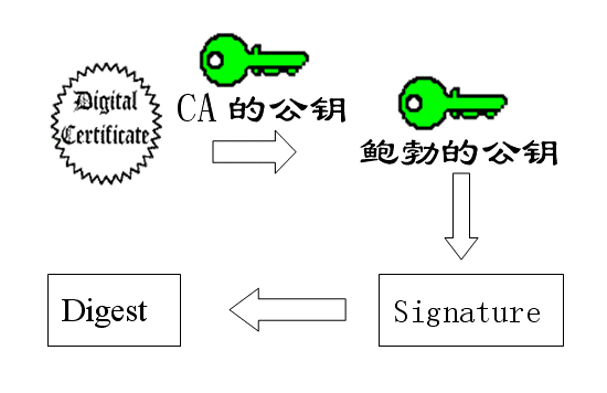 03091924_Cxex.png